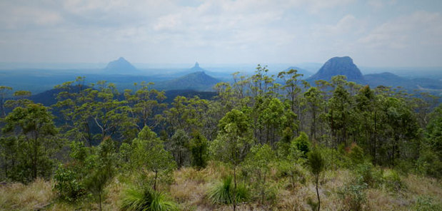 The Glass House Mountains, Queensland.