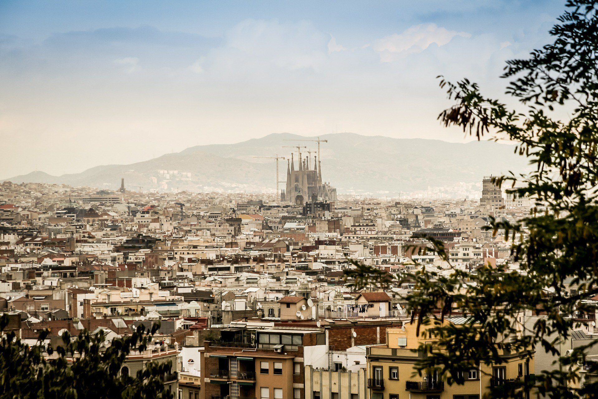 Top 5 things to do in Barcelona