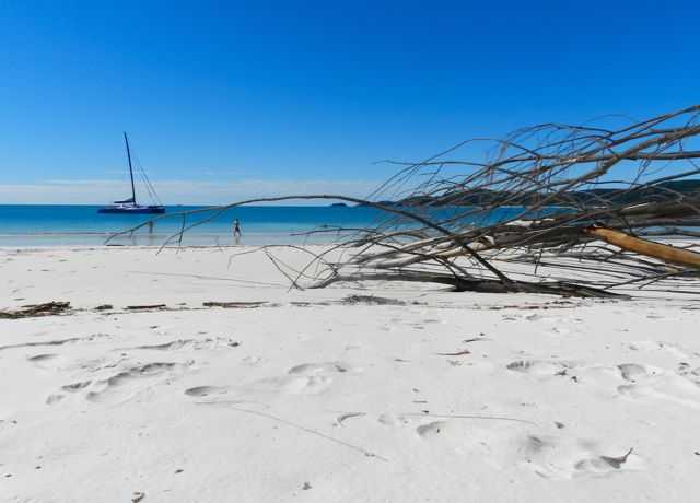 things to do in whitsundays