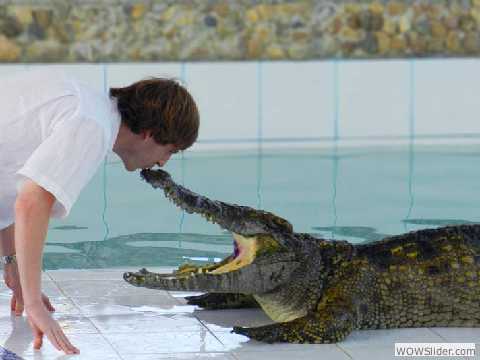 Kissing a Live Crocodile: For real! (Thailand)