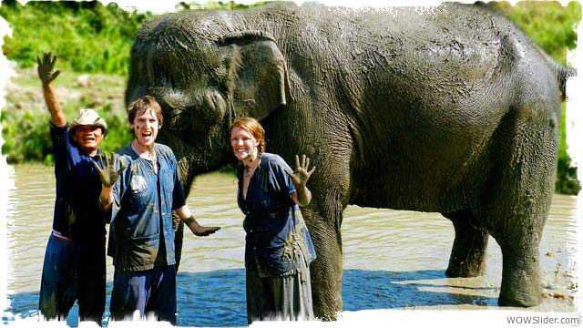 Elephant Mud bath chiang mai