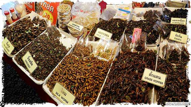 Eat insects at chiang Mai markets, Thailand