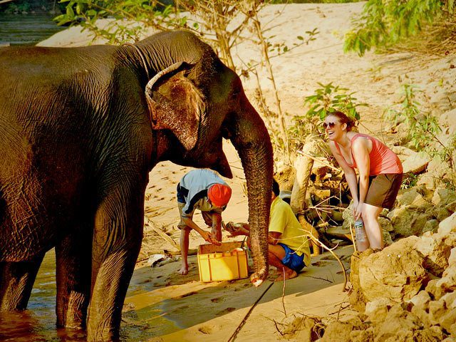 Talk to the elephants! River Kwai