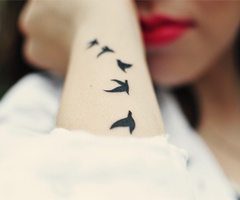 Travel Tattoo Ideas - birds arm