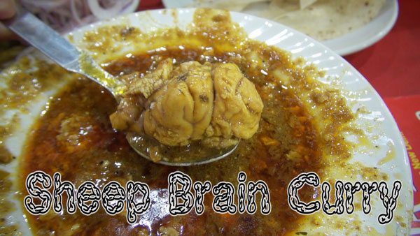 Eating Lamb Brains Curry in Delhi, India (w/Video)