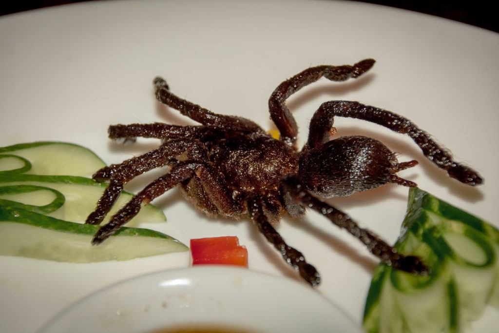 Edible Spiders: Eating Deep Fried Tarantula In Cambodia (Edible Tarantula) - Ready for your close up?