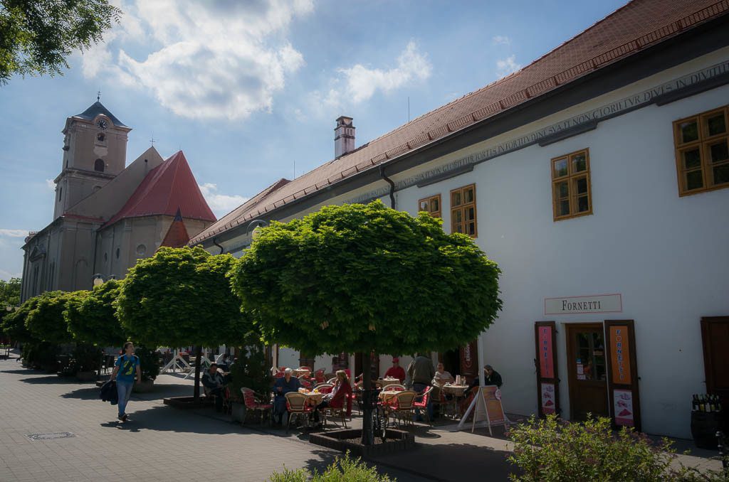 What to do in Bratislava - day trip through the unknown wine region of Slovakia