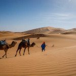 Experience Camel Riding in The Sahara Desert Morocco