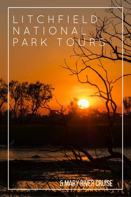 Join Litchfield National Park Tours: see & swim at spectacular waterfalls. Then take a Mary River Cruise: see crocodiles & Australian Outback wildlife