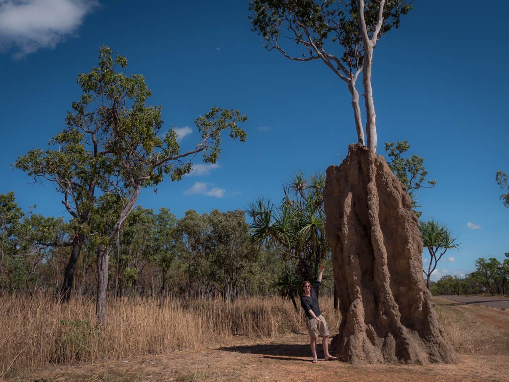 Travel Outback Australia -Northern Territory Termite Mounds