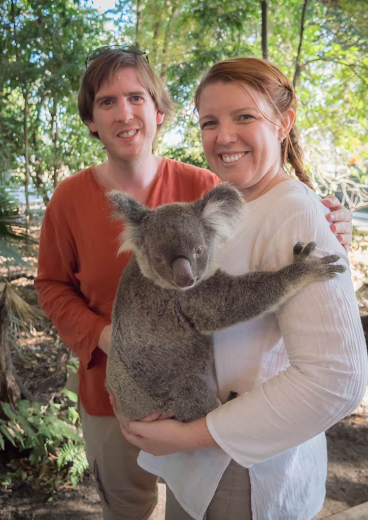 Queensland Itinerary Map: Hug a Koala at Lonepine