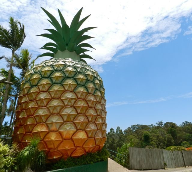 Romantic getaways sunshine coast hinterland - Big Pineapple