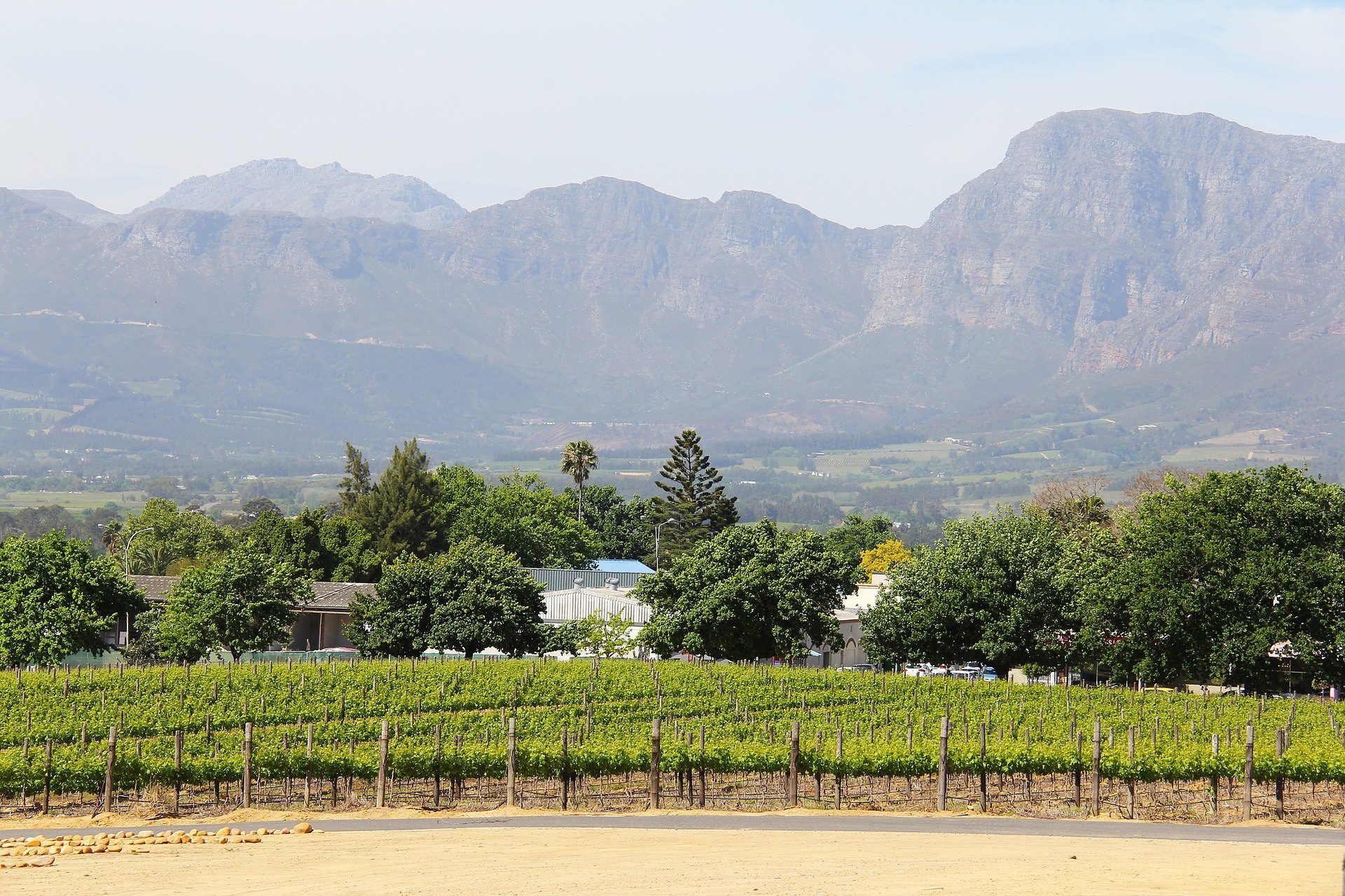 Cape Town Winelands