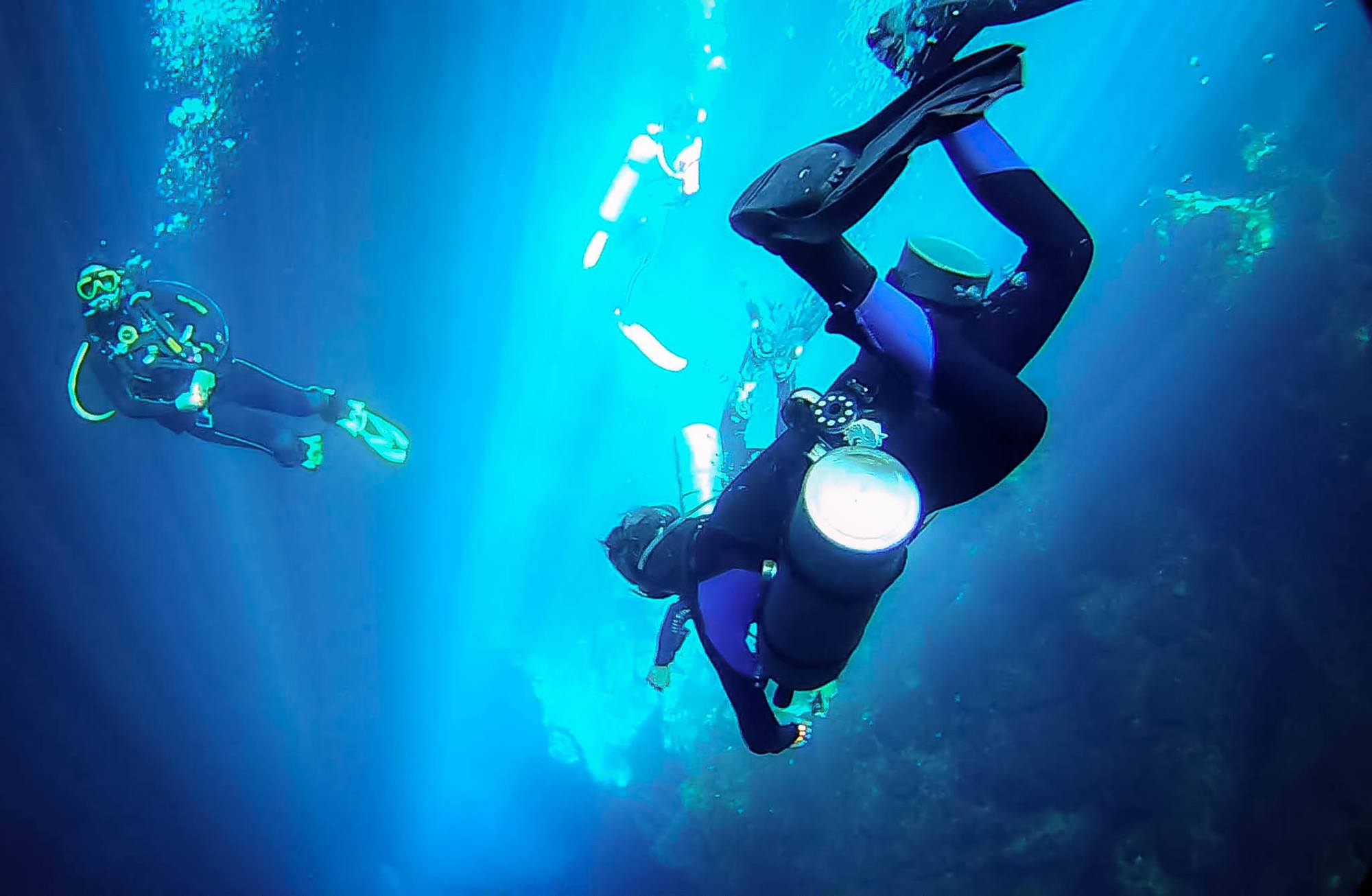 Cenote Dives: 10 Best Sites For Cenote Diving Tulum Mexico
