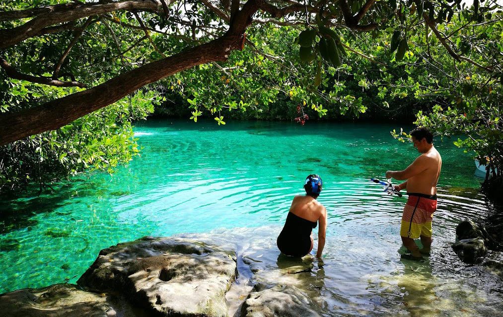 34 Best Cenotes Cancun, Riviera Maya, Tulum, Playa del Carmen (Cenote Map)