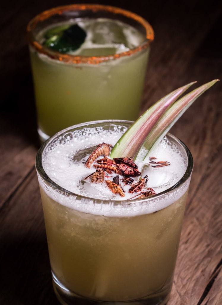Mezcal Cocktails at Expendio Tradición - Things to do in Oaxaca City Mexico