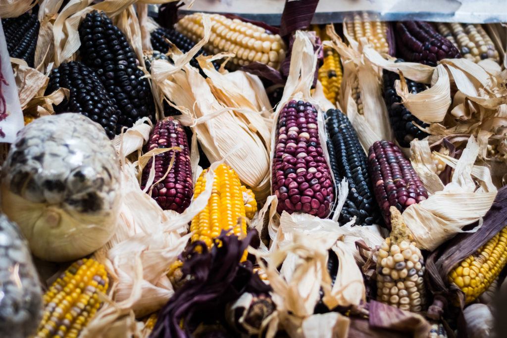 Multiple types of corn at San Juan Market Mexico City