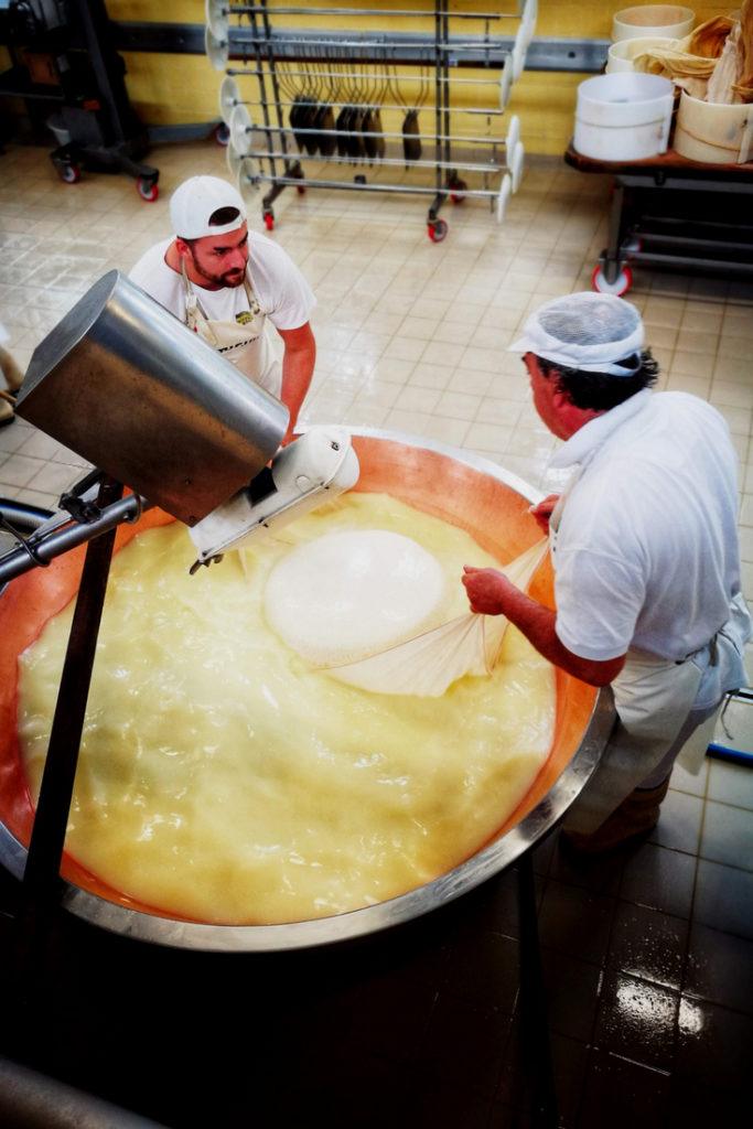 Day Trips From Bologna - Parmesan Cheese Factory Tour