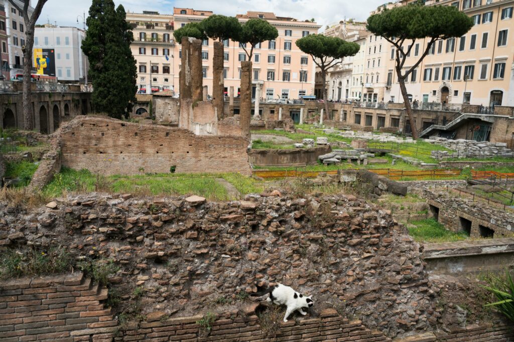 Highlights from our Map Of Rome 