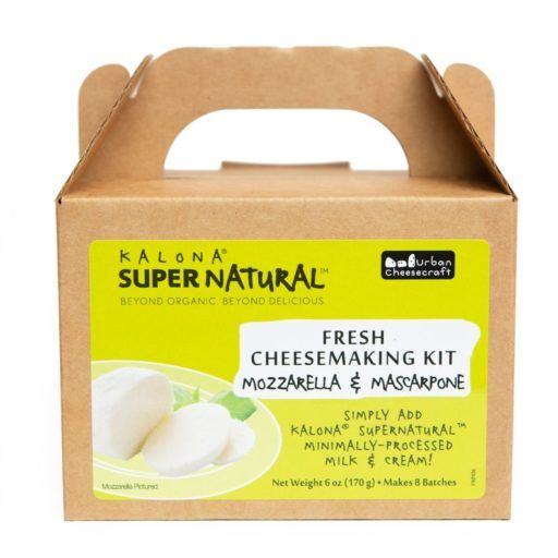 cheese making kit - unique food gifts - gourmet food gifts