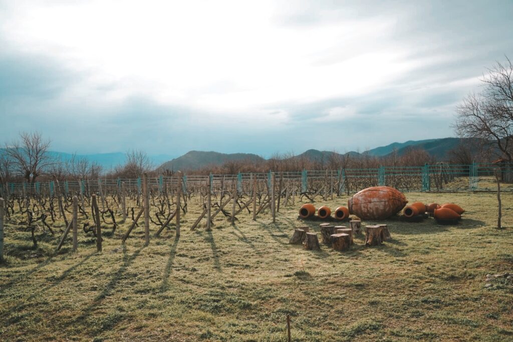 Begaso Family Winery. Kakheti Wineries