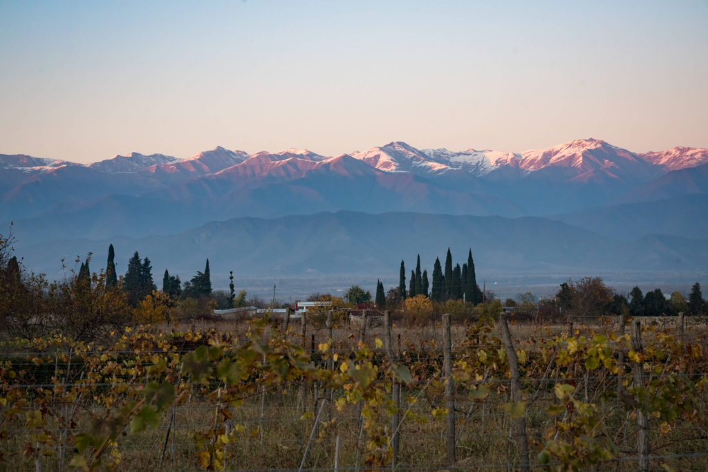 Panoramic view of Caucausus Mountains Kakheti wine region