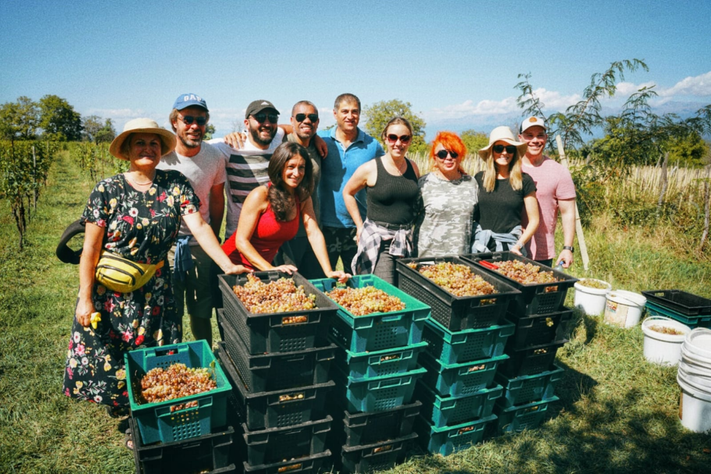 Rtveli Harvest and wine tour with Eat This! Tours